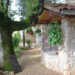 Barbara Pinezići