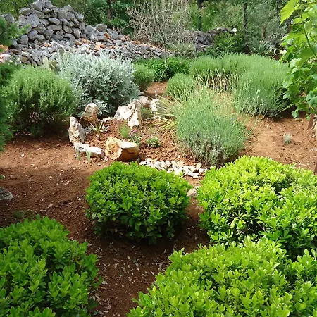 Apartamento Barbara Pinezići