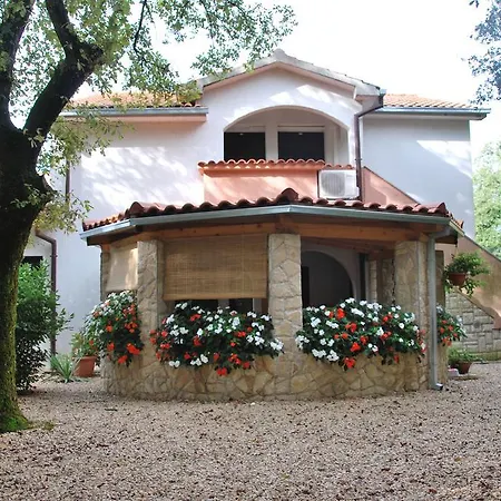 Barbara * Pinezići