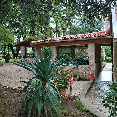 Apartment Barbara Pinezici (Krk)