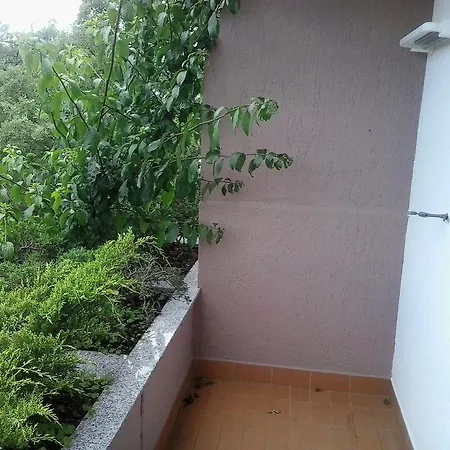 Barbara Apartment