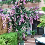 Barbara Appartement Pinezići