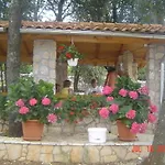 Barbara