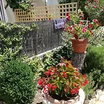 Barbara