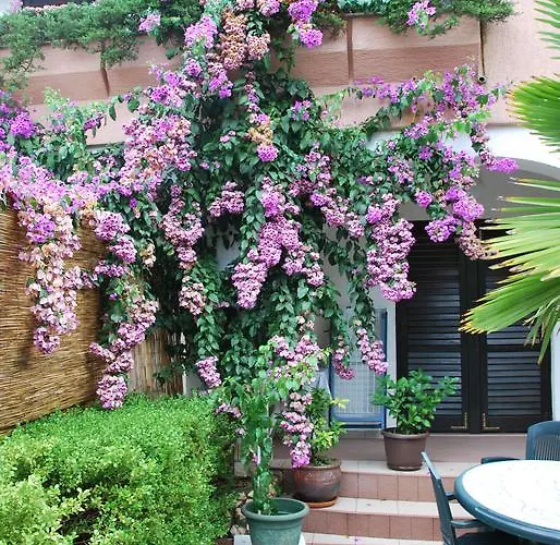 Barbara דירה Pinezići